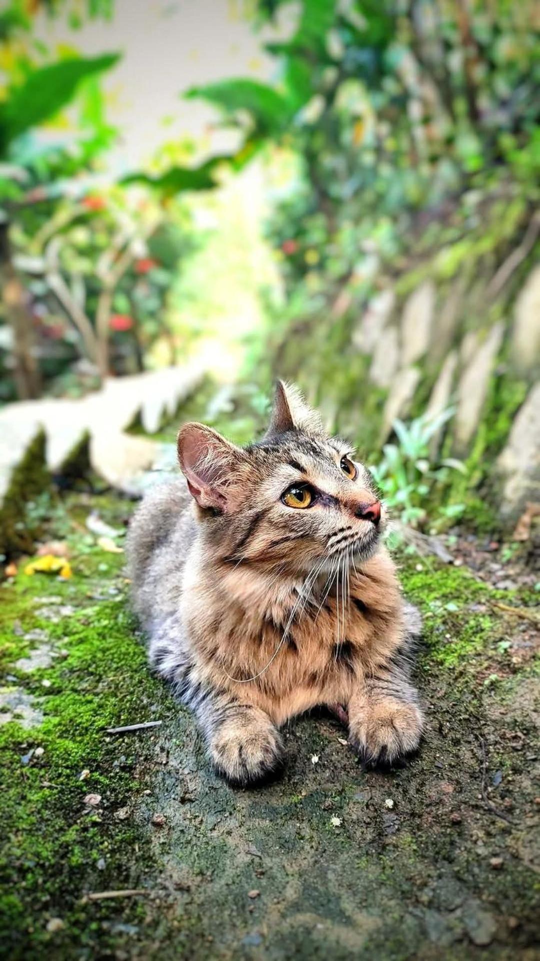 فيلا El Eden مينسا المظهر الخارجي الصورة